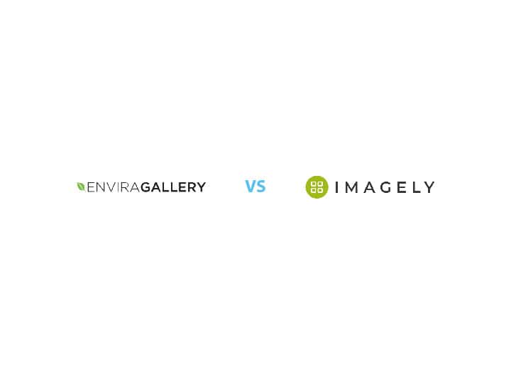 how-to-switch-from-nextGEN-envira-gallery-in-wordpress