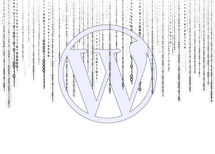 WordPress-LiteSpeed-Cache-Plugin-Exploit- Millions of Websites are at Risk